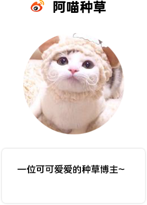 IP0